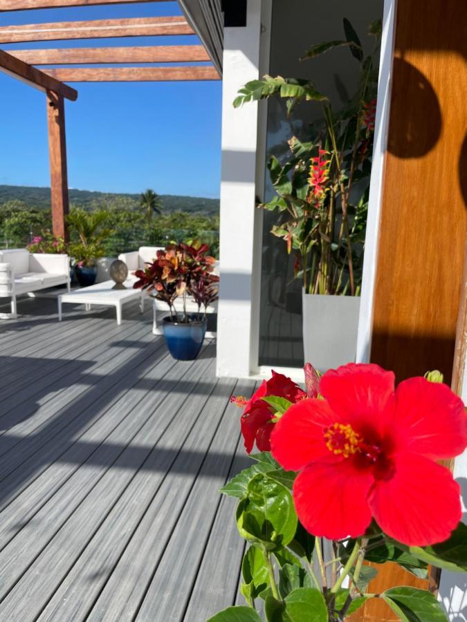 קברטה Ultravioleta Boutique Residences מראה חיצוני תמונה